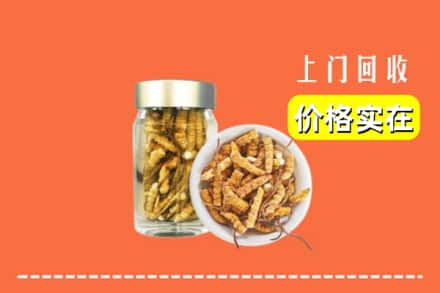 收购资讯:三明梅列区回收散虫草