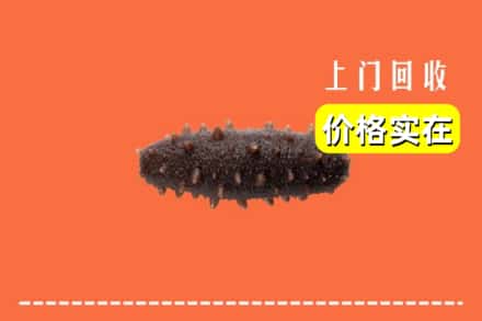 收购资讯:三明梅列区回收海参