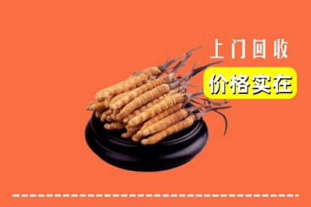 三明梅列区回收冬虫夏草