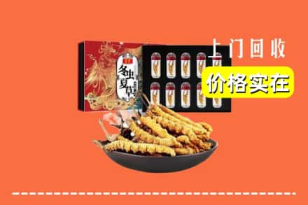 三明梅列区回收虫草